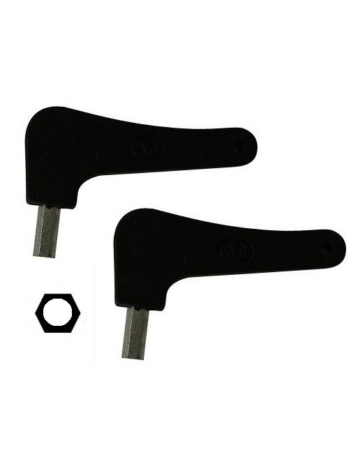 Clé 6 pans creux de déblocage pour ADYX GENIUS FAAC lot de 2 clés